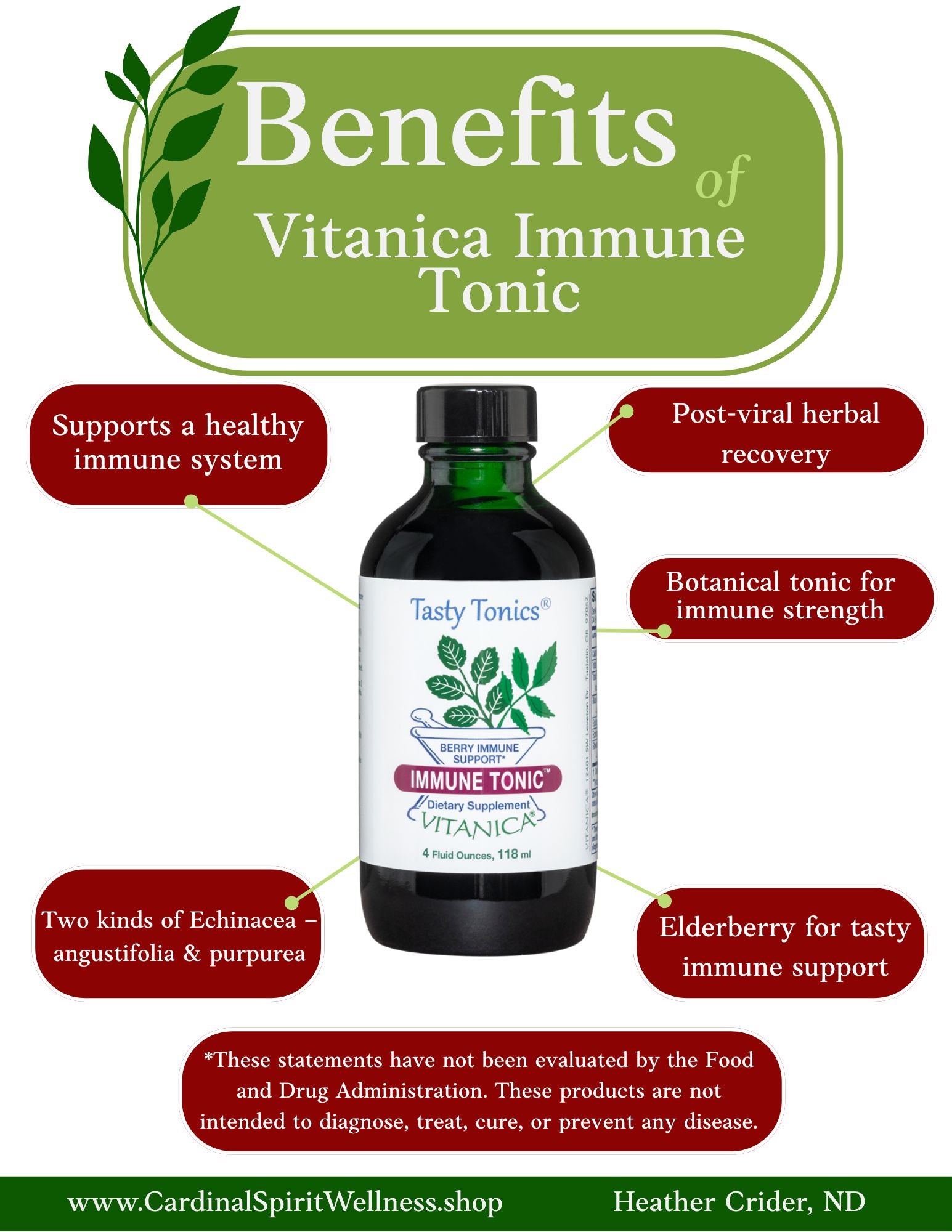Immune support tonic with echinacea angustifolia root, Echinacea purpurea root, stevia leaf extract, and black Elderberry, sambucas nigra
